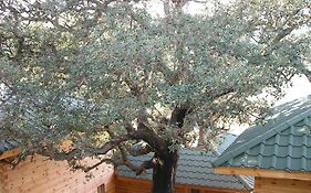 Albaria Lodge